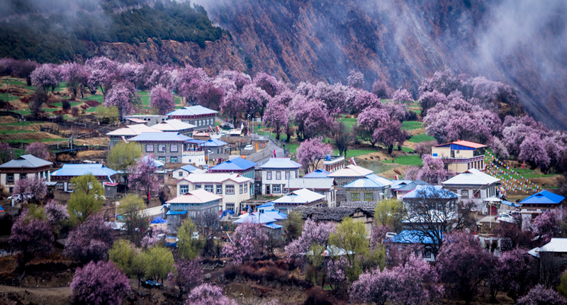 林芝米林